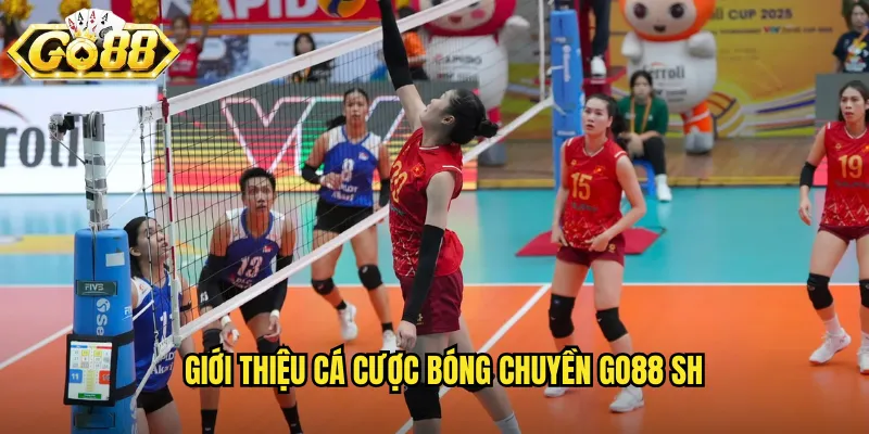 Giới thiệu cá cược bóng chuyền go88 sh