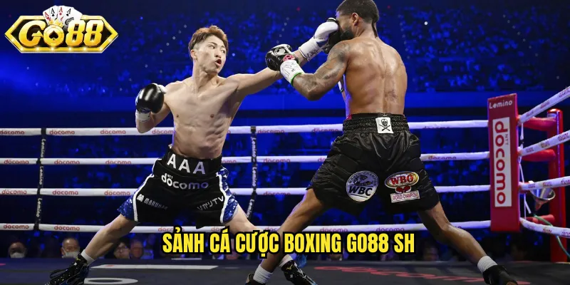 Boxing Go88 SH - Cá Cược Quyền Anh Kịch Tính Từng Hiệp Đấu 2 Sảnh cá cược boxing go88 sh