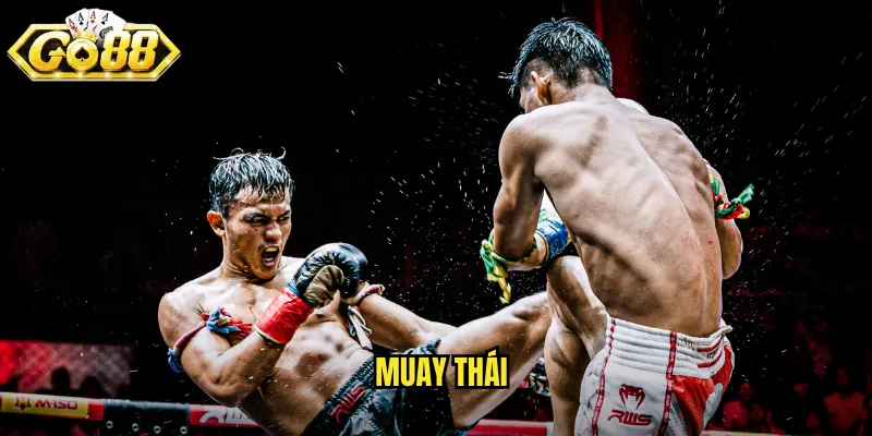 muay thái