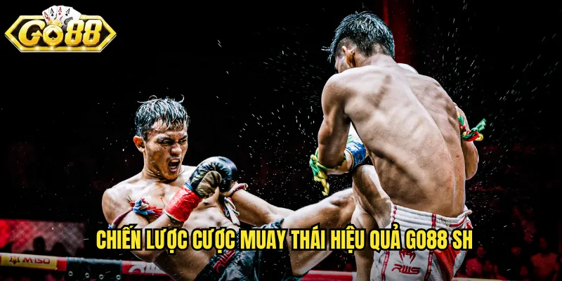 Chiến lược cược muay thái hiệu quả go88 sh